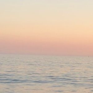 MAKE ME OFFERS I WILL ACCEPT!!